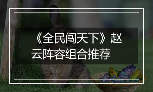 《全民闯天下》赵云阵容组合推荐