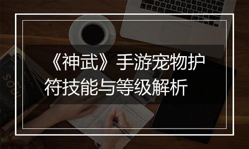 《神武》手游宠物护符技能与等级解析