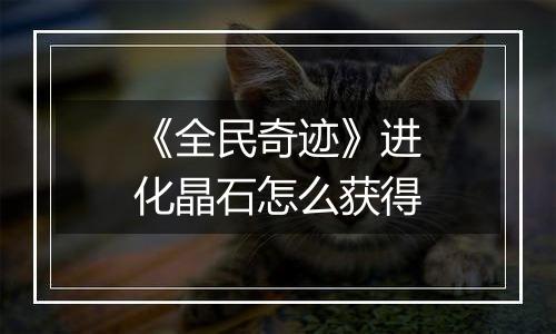 《全民奇迹》进化晶石怎么获得