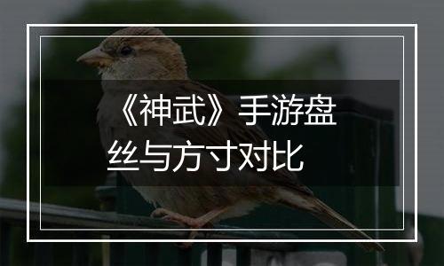 《神武》手游盘丝与方寸对比