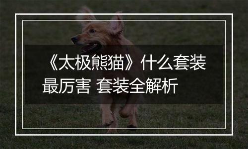 《太极熊猫》什么套装最厉害 套装全解析