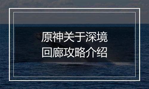 原神关于深境回廊攻略介绍