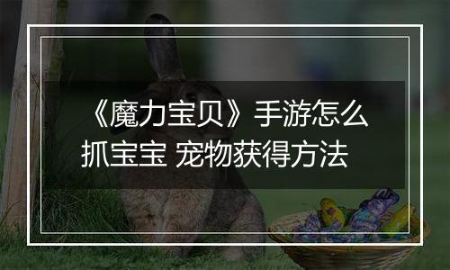 《魔力宝贝》手游怎么抓宝宝 宠物获得方法