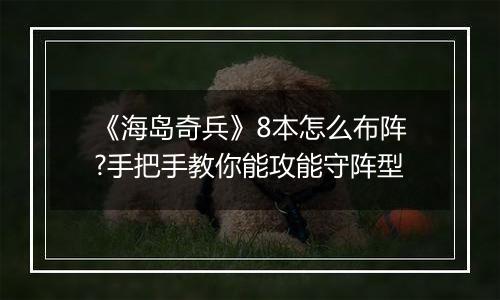 《海岛奇兵》8本怎么布阵?手把手教你能攻能守阵型
