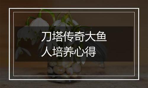 刀塔传奇大鱼人培养心得