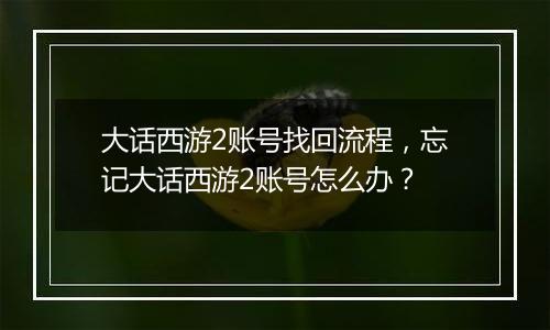 大话西游2账号找回流程，忘记大话西游2账号怎么办？