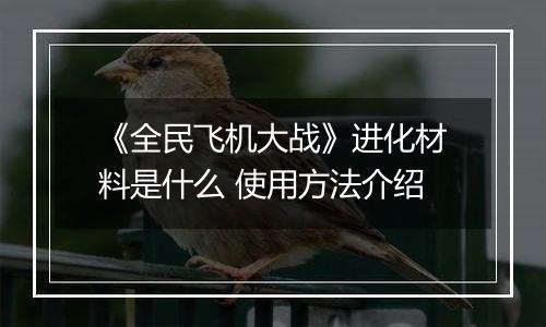 《全民飞机大战》进化材料是什么 使用方法介绍