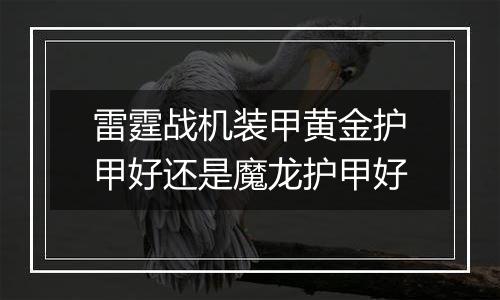 雷霆战机装甲黄金护甲好还是魔龙护甲好
