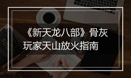 《新天龙八部》骨灰玩家天山放火指南