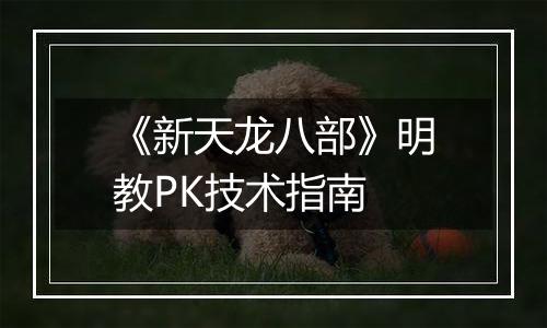 《新天龙八部》明教PK技术指南