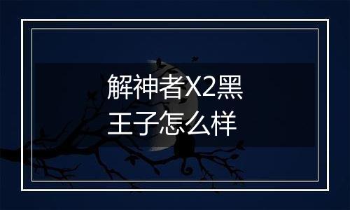 解神者X2黑王子怎么样
