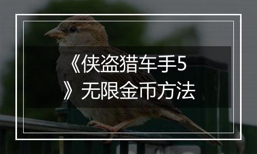 《侠盗猎车手5》无限金币方法