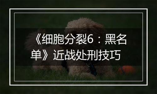 《细胞分裂6：黑名单》近战处刑技巧