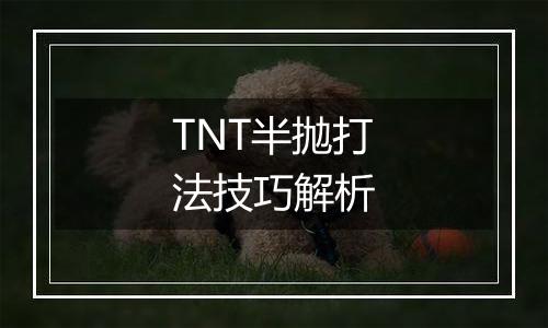 TNT半抛打法技巧解析