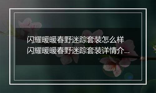 闪耀暖暖春野迷踪套装怎么样  闪耀暖暖春野迷踪套装详情介绍