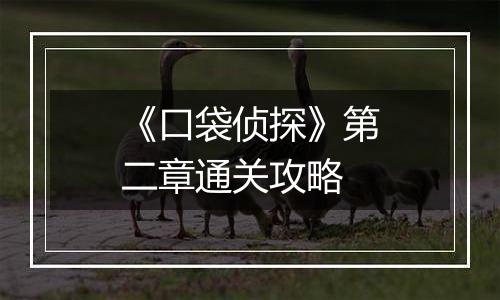 《口袋侦探》第二章通关攻略