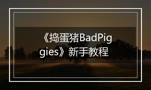 《捣蛋猪BadPiggies》新手教程