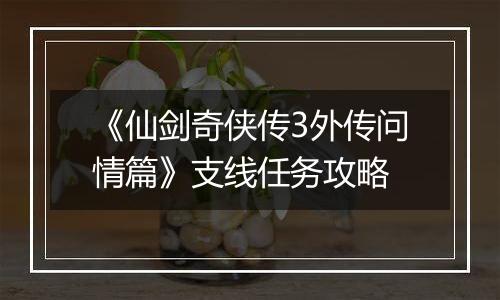 《仙剑奇侠传3外传问情篇》支线任务攻略