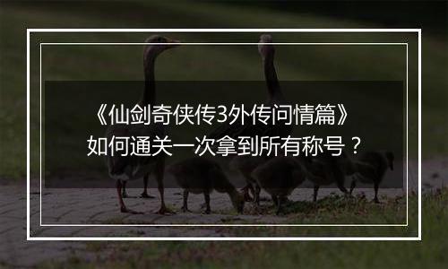 《仙剑奇侠传3外传问情篇》如何通关一次拿到所有称号？