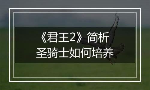 《君王2》简析圣骑士如何培养