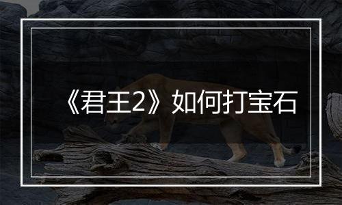 《君王2》如何打宝石