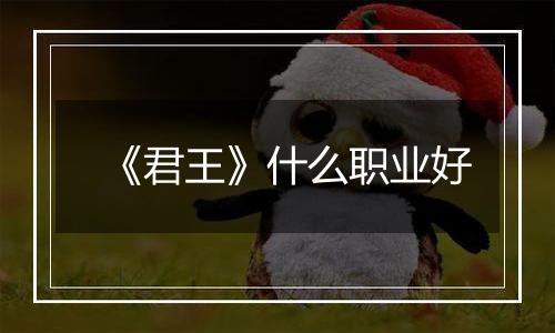 《君王》什么职业好