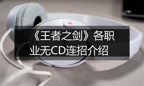 《王者之剑》各职业无CD连招介绍