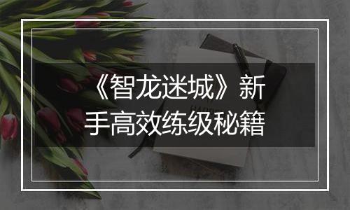 《智龙迷城》新手高效练级秘籍