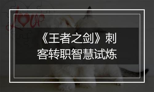 《王者之剑》刺客转职智慧试炼