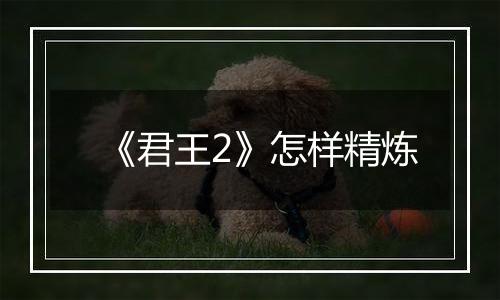《君王2》怎样精炼