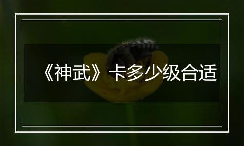 《神武》卡多少级合适
