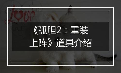 《孤胆2：重装上阵》道具介绍