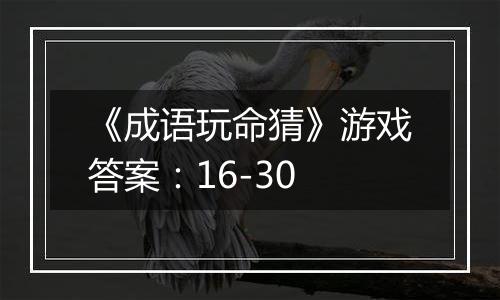 《成语玩命猜》游戏答案：16-30
