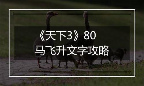 《天下3》80马飞升文字攻略