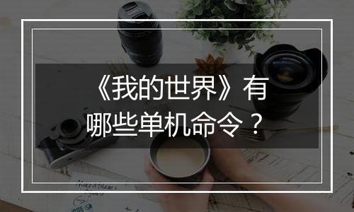 《我的世界》有哪些单机命令？