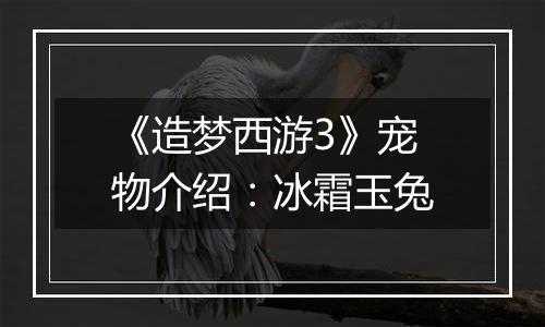 《造梦西游3》宠物介绍：冰霜玉兔