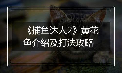 《捕鱼达人2》黄花鱼介绍及打法攻略