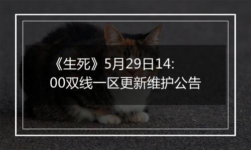 《生死》5月29日14:00双线一区更新维护公告