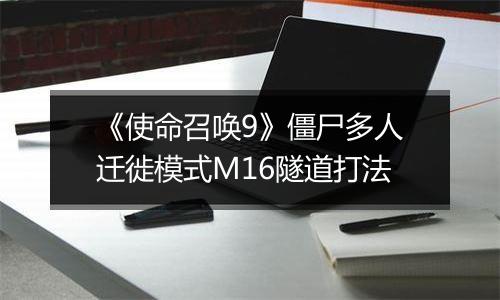 《使命召唤9》僵尸多人迁徙模式M16隧道打法