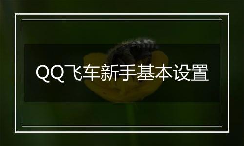 QQ飞车新手基本设置