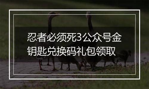 忍者必须死3公众号金钥匙兑换码礼包领取