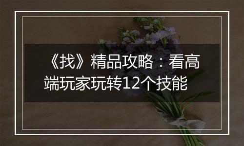 《找》精品攻略：看高端玩家玩转12个技能