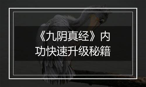 《九阴真经》内功快速升级秘籍