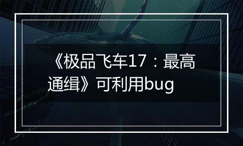 《极品飞车17：最高通缉》可利用bug
