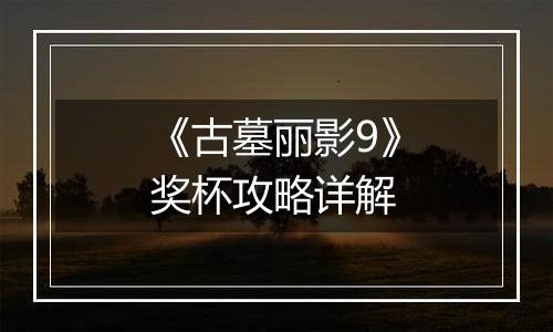 《古墓丽影9》奖杯攻略详解