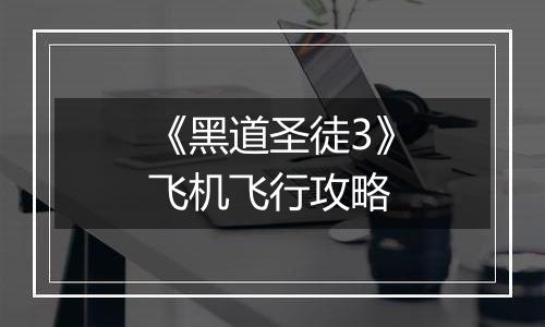 《黑道圣徒3》飞机飞行攻略