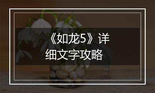 《如龙5》详细文字攻略