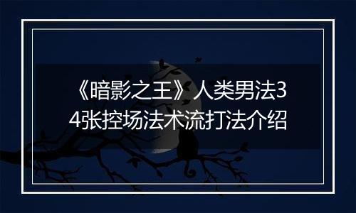 《暗影之王》人类男法34张控场法术流打法介绍