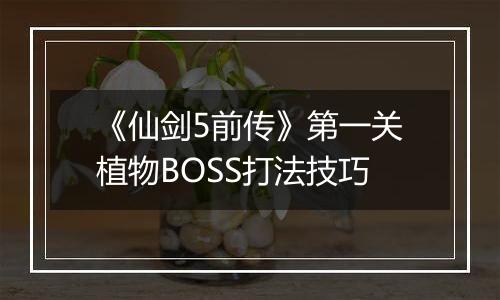 《仙剑5前传》第一关植物BOSS打法技巧