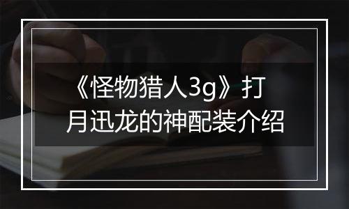 《怪物猎人3g》打月迅龙的神配装介绍